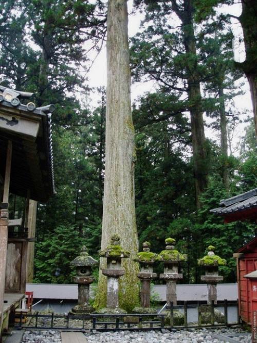 Тосё -гу - архитектурный комплекс синтоистского святилища в японском городе Никко. 04