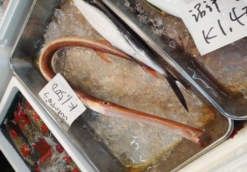 Вот так рыбка. 06 Вот так рыбка. 06