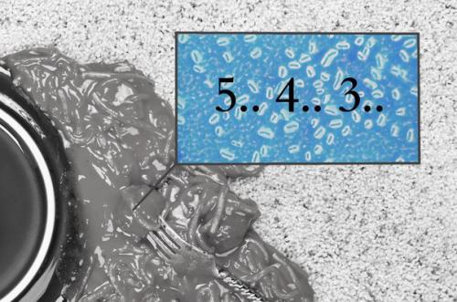 Правило опровергнуто пяти секунд.