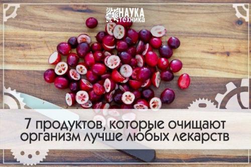 7 продуктов, которые очищают организм лучше любых лекарств.

