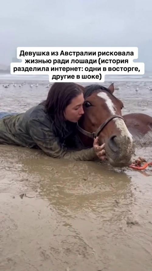 Девушка три часа держала голову лошади астро над поверхностью в трясине на побережье Мельбурна. 01