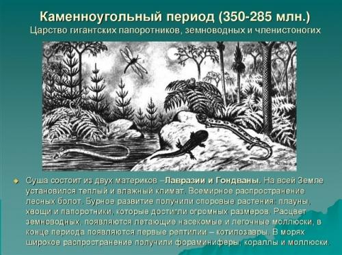 А был ли континент? 07