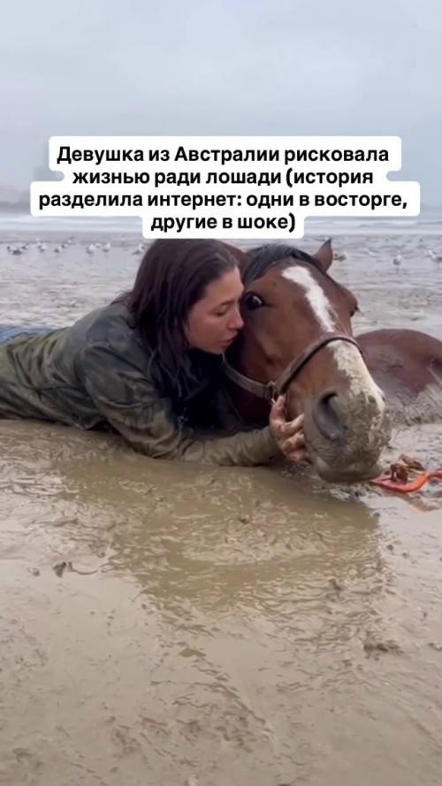 Девушка три часа держала голову лошади астро над поверхностью в трясине на побережье Мельбурна.  