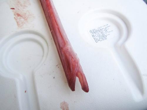 Вот так рыбка. 03 Вот так рыбка. 03