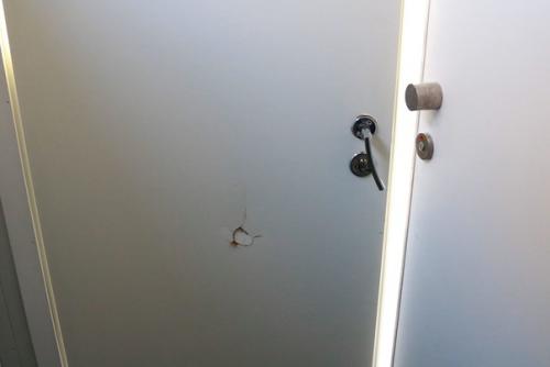 В брянском парке впервые за 100 лет установили антивандальный отапливаемый туалет. 03