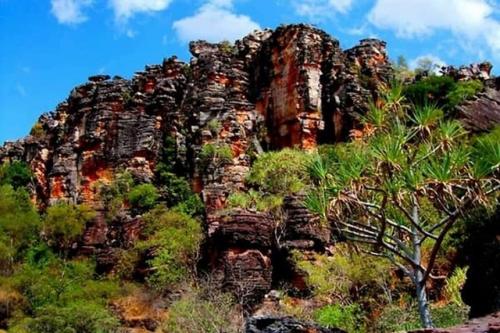 Национальный парк какаду, Австралия: 05