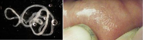 Десять пугающих, но реальных научных открытий и явлений. 03 Десять пугающих, но реальных научных открытий и явлений. 03