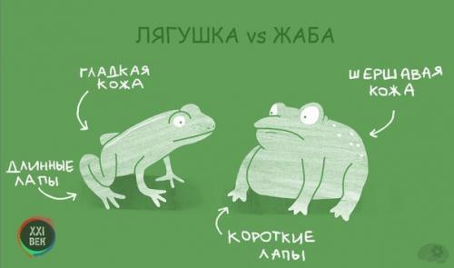 Чем отличаются похожие друг на друга животные. 03