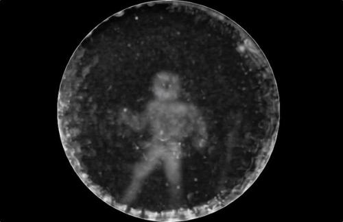 Ученые впервые на мир сонарами дельфина посмотрели.