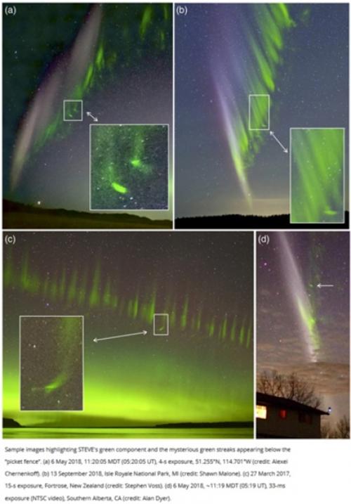 Еще одна загадка Стива: зеленые ядра. 01 Еще одна загадка Стива: зеленые ядра. 01