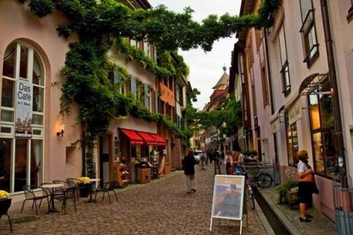 В городе фрайбург, который находится в Германии, есть престижный район фаубан.