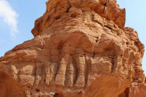 Гигантские вырезанные изображения верблюдов в северной Аравии оказались на 6000 старше, чем предполагалось ранее.
