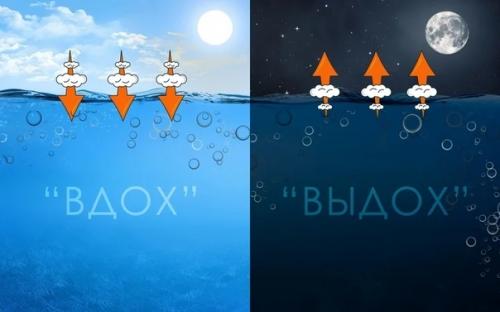 Байкал дышит. Не секрет, что крупнейшее озеро Байкал давно пристально изучается. 03 Байкал дышит. Не секрет, что крупнейшее озеро Байкал давно пристально изучается. 03