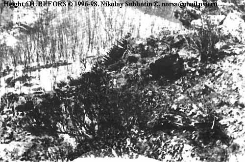 Полировка волос? (от 10 рублей), стрижки женские (от 8 рублей), стрижки мужские?  (от 8 рублей), прически (локоны, пучки. 01