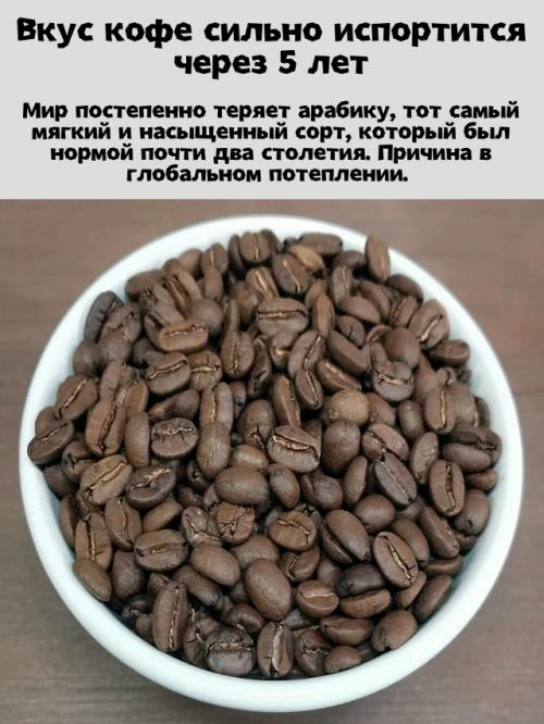 Через 5 лет привычный вкус кофе может исчезнуть.

