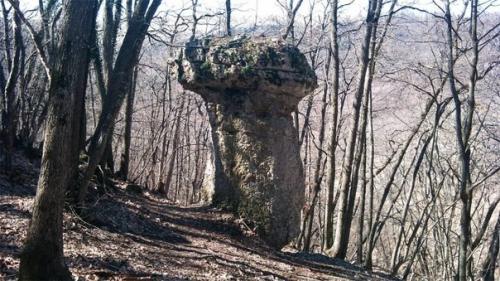 Уникальные каменные грибы. 07 Уникальные каменные грибы. 07