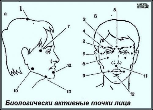 Активные точки на голове - ваша скорая помощь биологически! 

