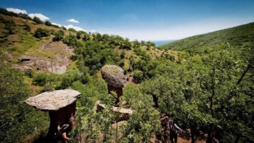 Уникальные каменные грибы. 05 Уникальные каменные грибы. 05