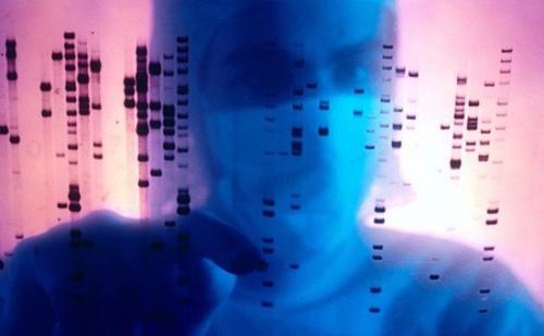 Великобритания правила создания гибридов человека и животных разработала. Великобритания правила создания гибридов человека и животных разработала.