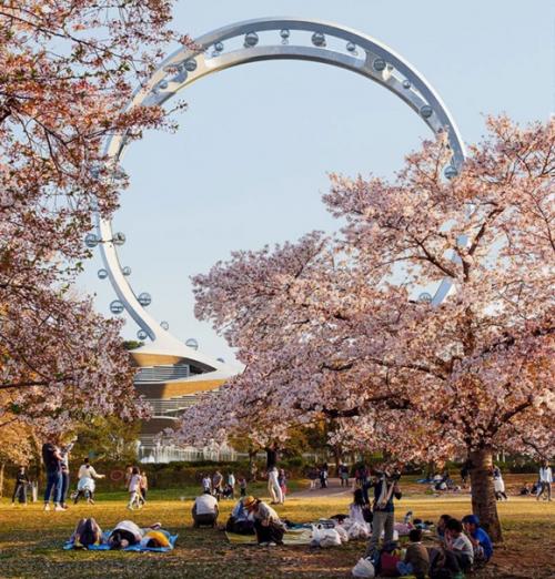 Самое высокое в мире колесо обозрения без спиц появится в южной Корее. 03 Самое высокое в мире колесо обозрения без спиц появится в южной Корее. 03