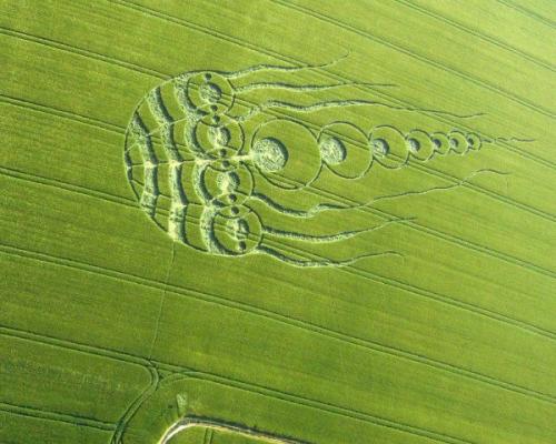 Ученые изучили круги на полях в попытке определить их источник. 02 Ученые изучили круги на полях в попытке определить их источник. 02
