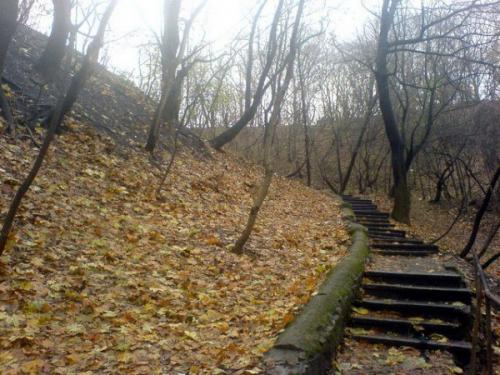 Лысая гора на ВЫДУБИЧАХ. 01