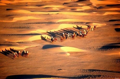 Палеонтологи: сахара была морем, где жили гигантские сомы и морские змеи. 03