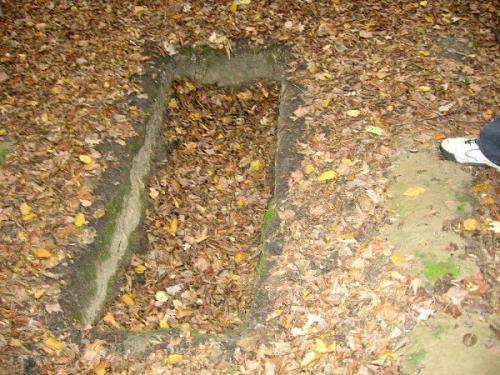 Лысая гора на ВЫДУБИЧАХ. 04