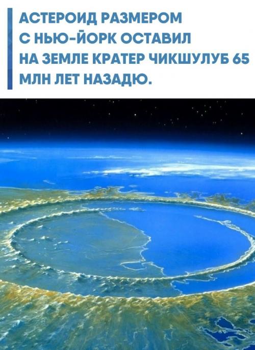 Этот удар стал одной из крупнейших катастроф в истории планеты и привёл к массовому вымиранию видов.  