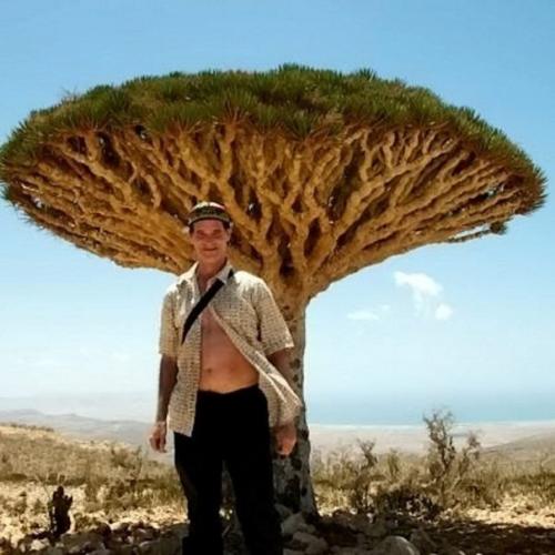 Турист скитался по миру 23 года. 03 Турист скитался по миру 23 года. 03