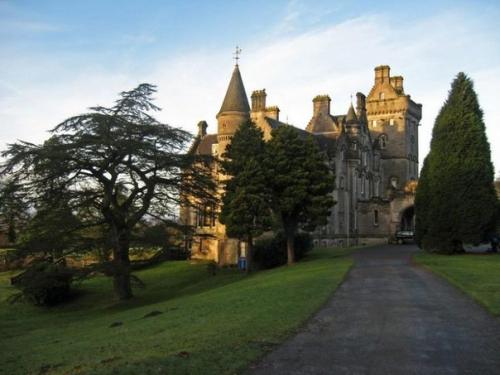 Таинственное явление: 600 собак прыгнуло с моста. 01 Таинственное явление: 600 собак прыгнуло с моста. 01