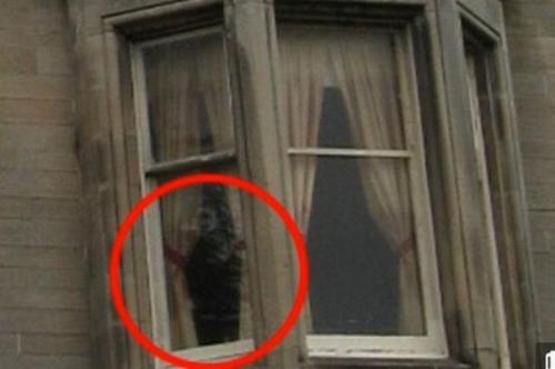 Таинственное явление: 600 собак прыгнуло с моста. 02 Таинственное явление: 600 собак прыгнуло с моста. 02