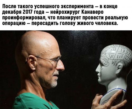 Страшный эксперимент.   Например, попал человек в аварию, ручки ножки оторвало, а вот лежит человек на аппаратах, но мозг уже мёртв. 01