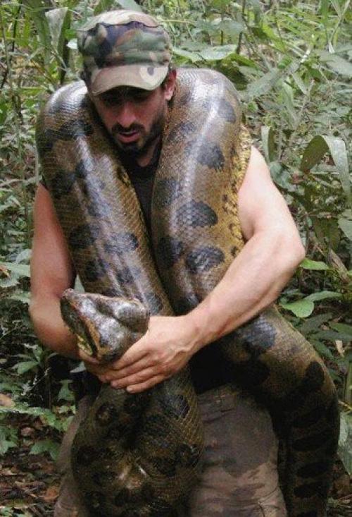Солдат спокойно руками задушил анаконду. 04