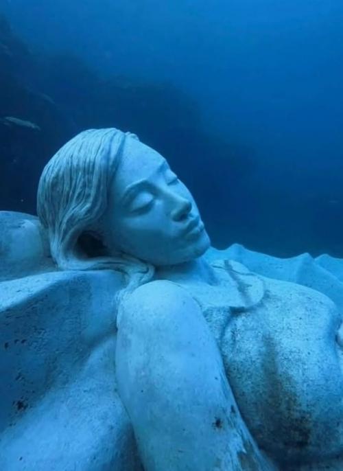 Ocean Gaia разместили на глубине около пяти метров у острова токуносима. 01