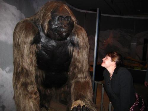 10 животных, благодаря вымиранию которых мы всё ещё живы. 05 10 животных, благодаря вымиранию которых мы всё ещё живы. 05