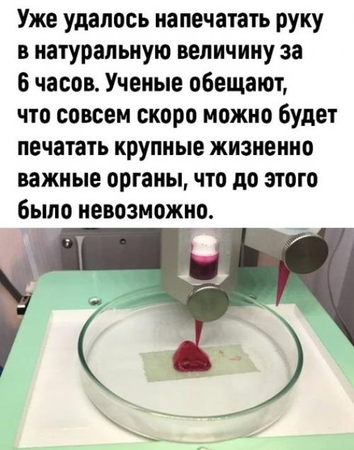 Напечатайте мне мозг, пожалуйста. 02