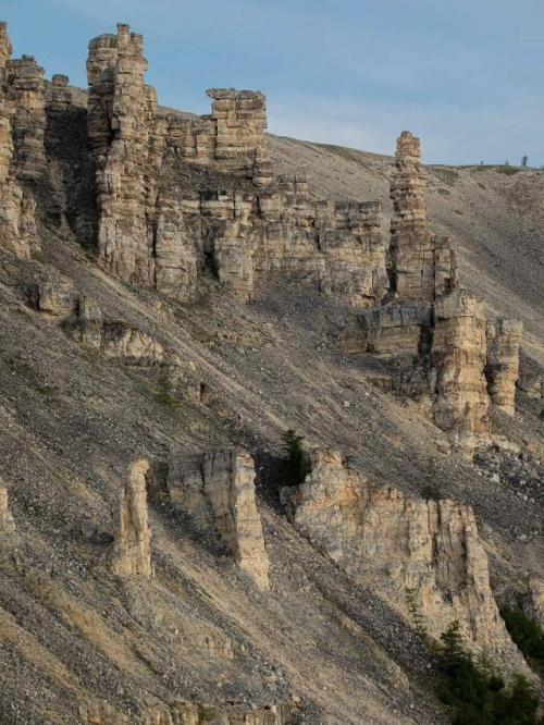 Таймыр, анабарское плато - неповторимая территория русской Арктики, уникальный памятник планетарного масштаба. 06