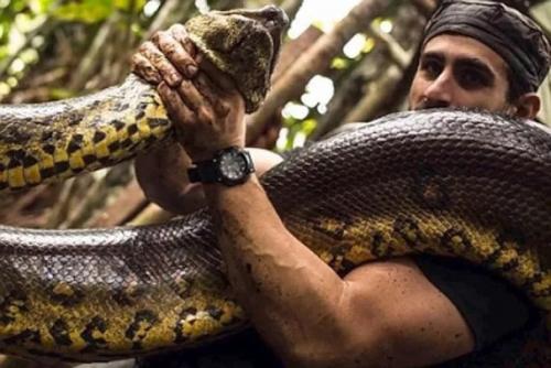 Солдат спокойно руками задушил анаконду. 01