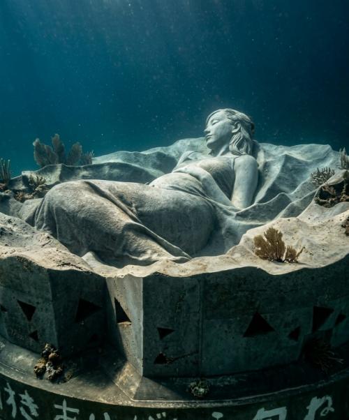 Ocean Gaia разместили на глубине около пяти метров у острова токуносима. 02