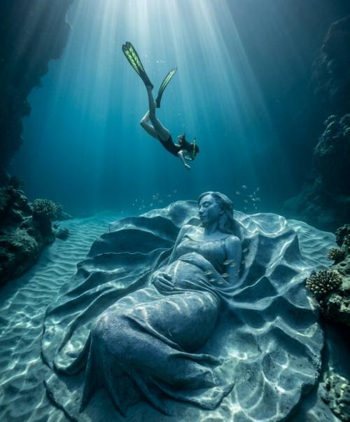 Ocean Gaia разместили на глубине около пяти метров у острова токуносима. 03