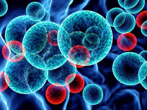 День богат на хорошие новости: ученые США разработали способ лечения рака крови.