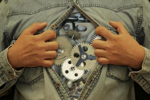 Как выглядит примерный Распорядок дня нашего организма? Как выглядит примерный Распорядок дня нашего организма?