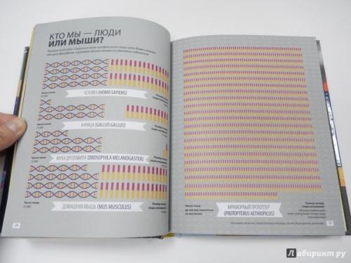 Вселенная, Происхождение Жизни и Всего на Свете в Инфографике, Томас итон. 04