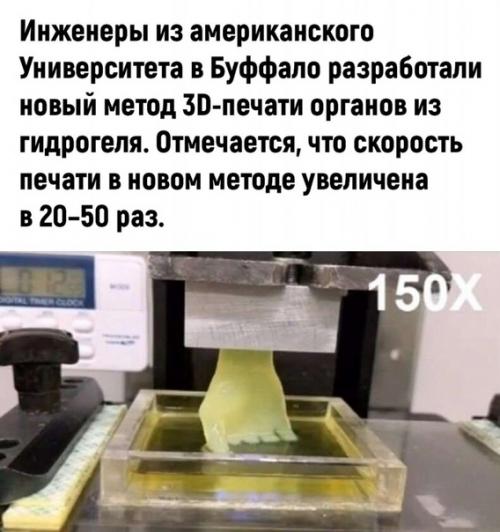 Напечатайте мне мозг, пожалуйста. 01