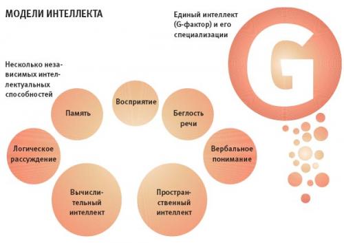 Лабиринты интеллекта.  В повседневной жизни мы легко выносим суждения, признавая одних людей умными, а других, мягко говоря, не очень. Лабиринты интеллекта.  В повседневной жизни мы легко выносим суждения, признавая одних людей умными, а других, мягко говоря, не очень.