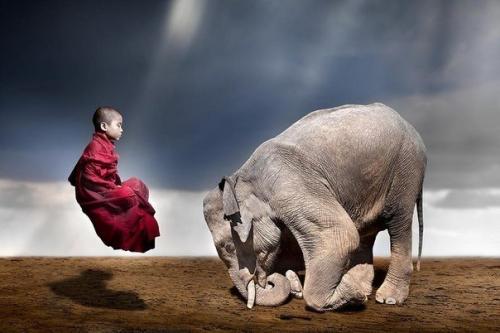 Ваш мозг все может.  