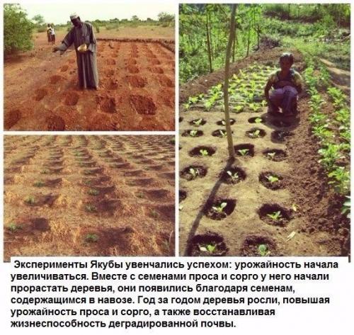 Человек, который остановил пустыню. 03