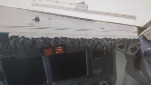 Что же он кушал, бедный? 02