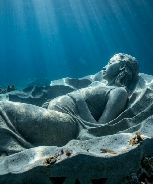 Ocean Gaia разместили на глубине около пяти метров у острова токуносима. 04